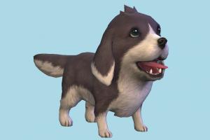 Puppy Dog Cute Puppy Dog-2